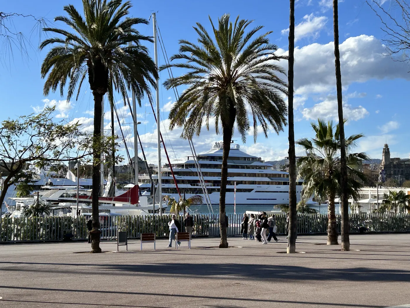 Palm trees and yachts at Port Vell marina in Barcelona