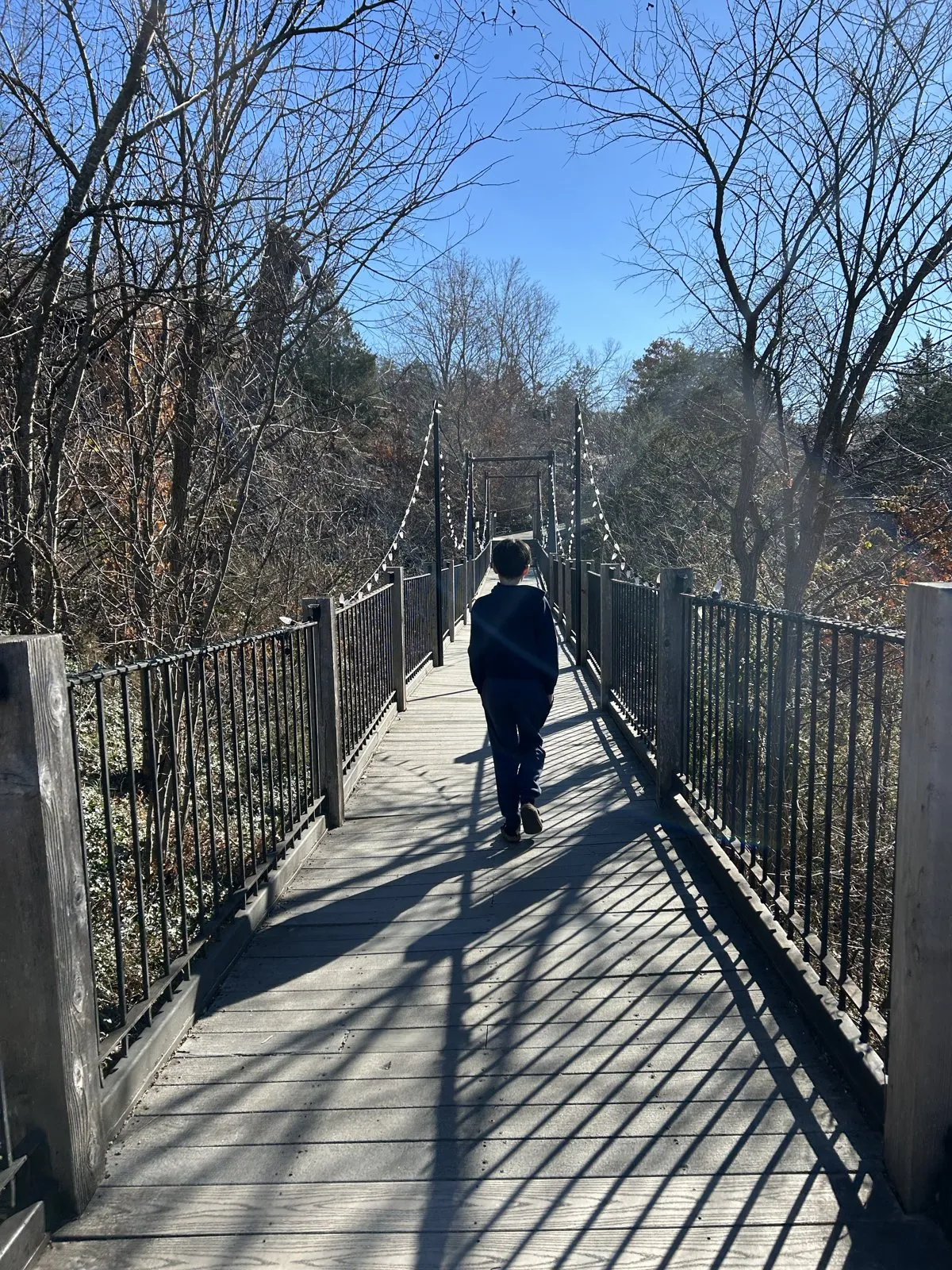 A boy walking across a wooden suspension footbridge through bare winter trees