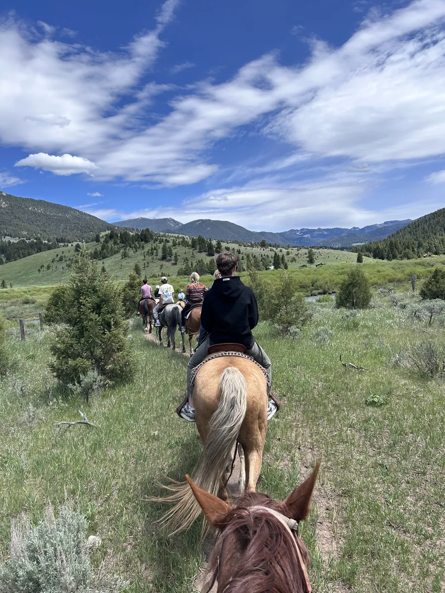 View between a horse's ears on a trail ride through Montana grassland
