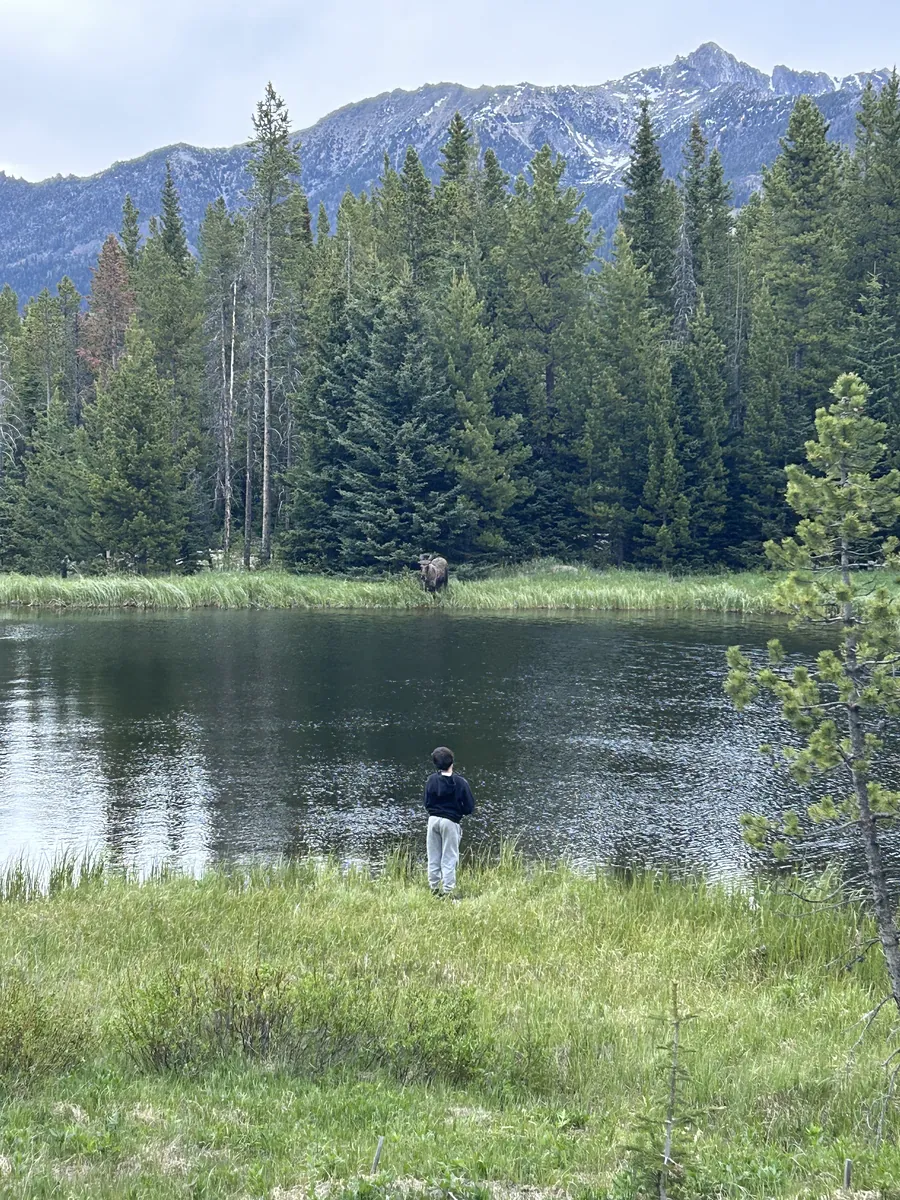 Boy fishing a pond with a moose standing on the far bank and snowy peaks behind near Big Sky