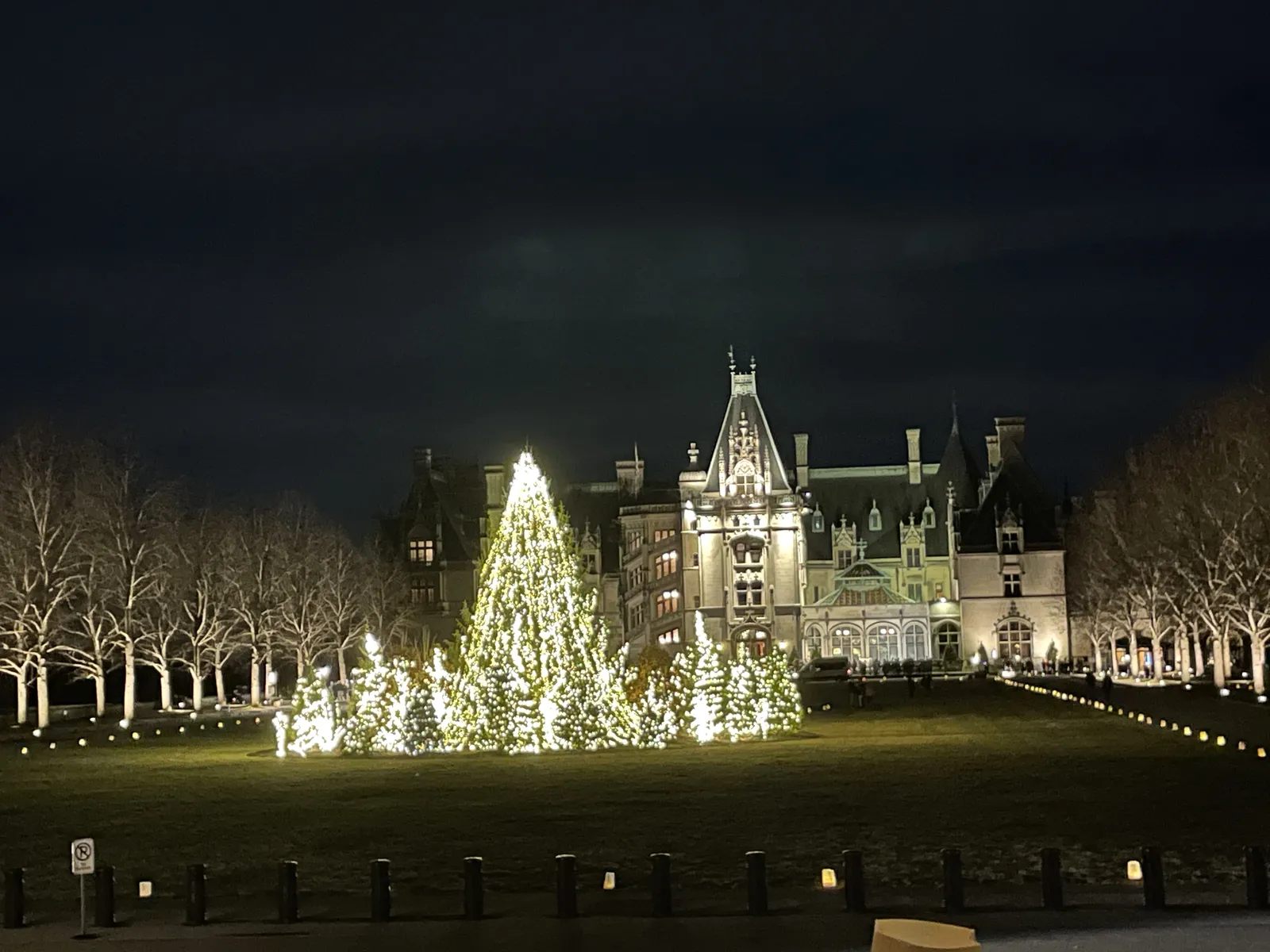 Biltmore House at night with a giant lit Christmas tree on the front lawn