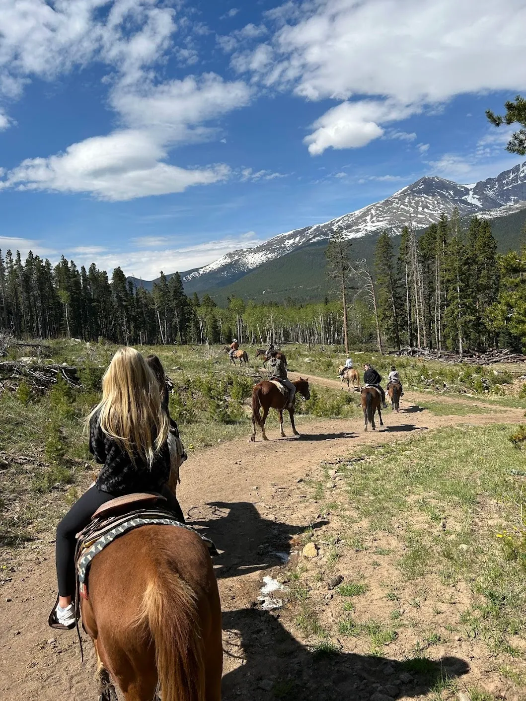 Heather's view from horseback with the Rocky Mountains ahead