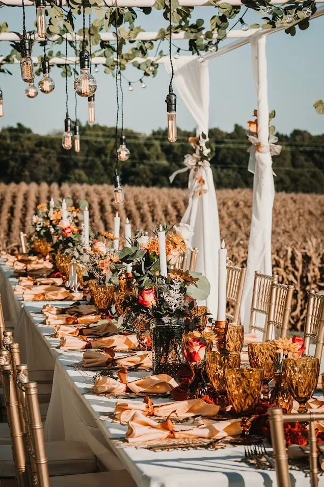 The long reception table with amber goblets, fall florals, taper candles, and Edison bulbs hanging from the PVC frame over a corn field
