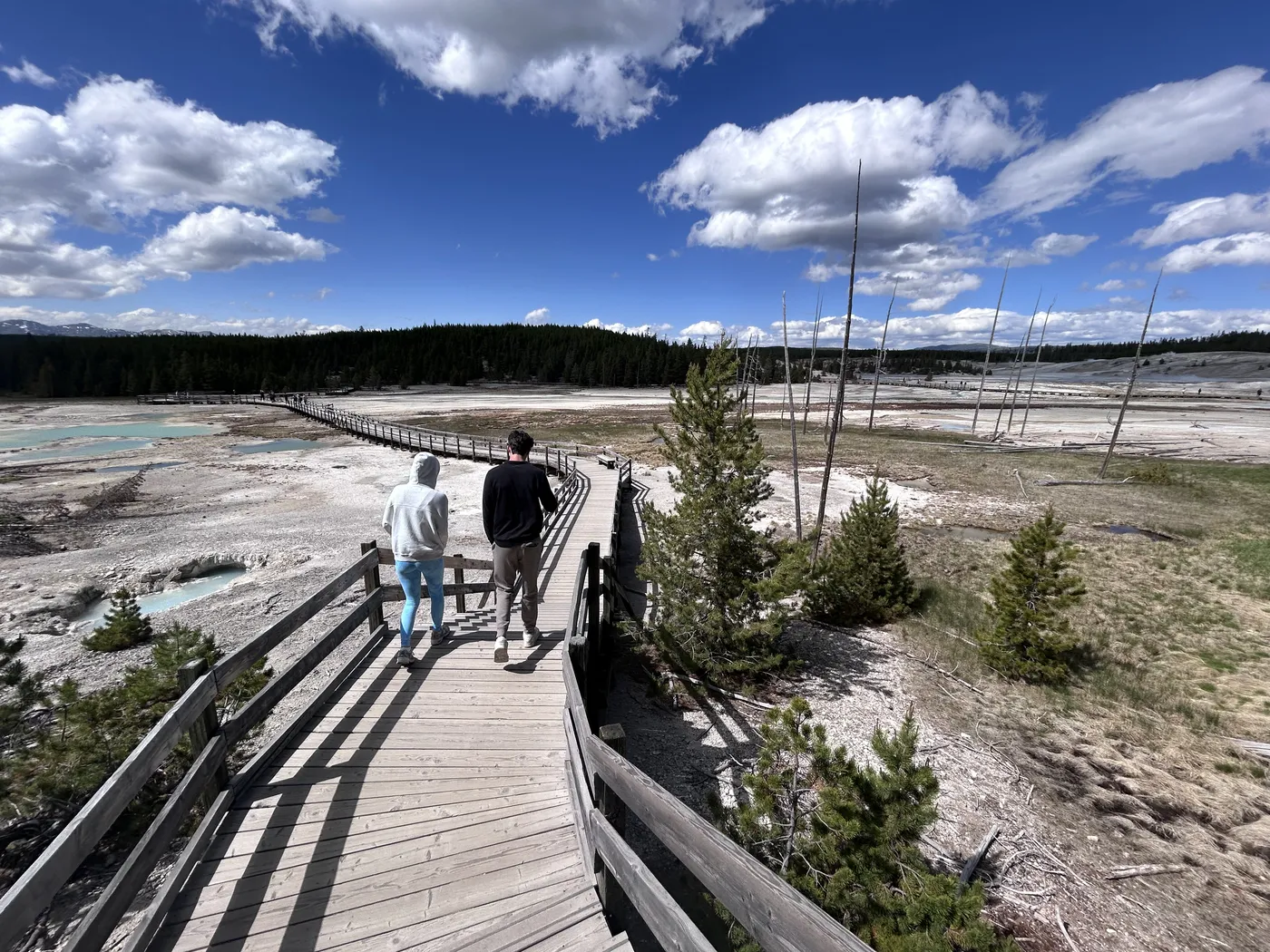 Family walking a boardwalk through a thermal basin in Yellowstone