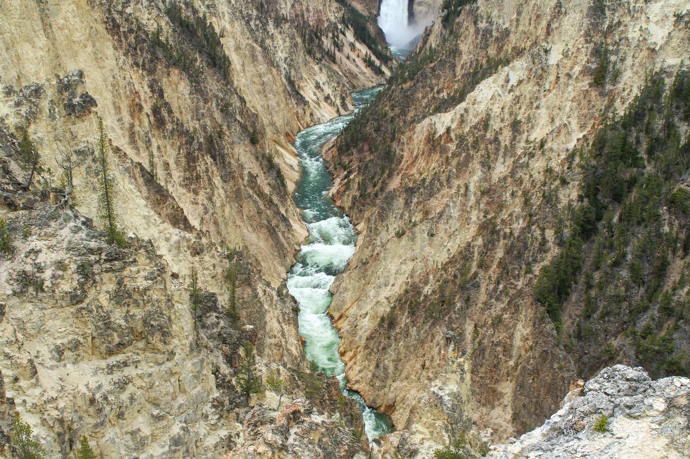 Yellowstone River cutting through the yellow walls of the Grand Canyon of the Yellowstone